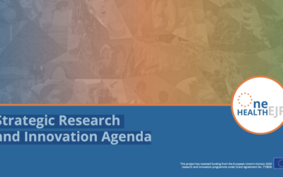 Strategic Researchand Innovation Agenda